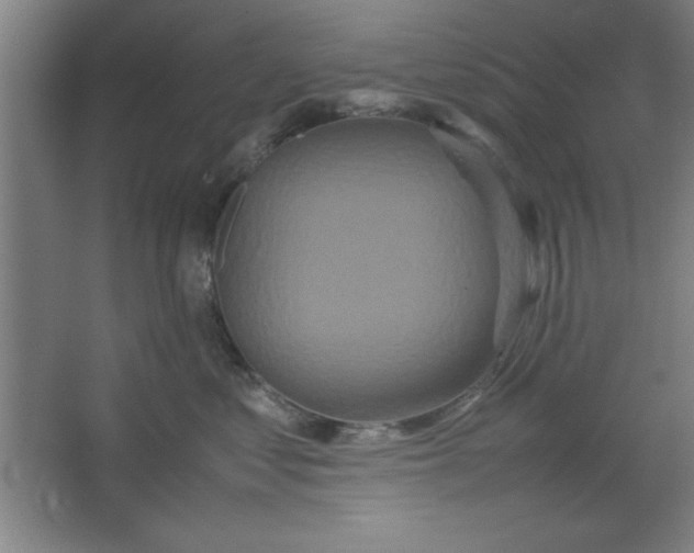 X0000064060621200602101532