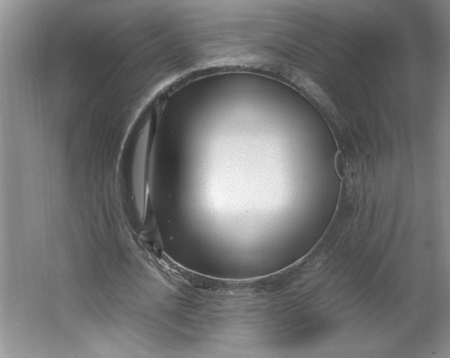 X0000064060628200602101531