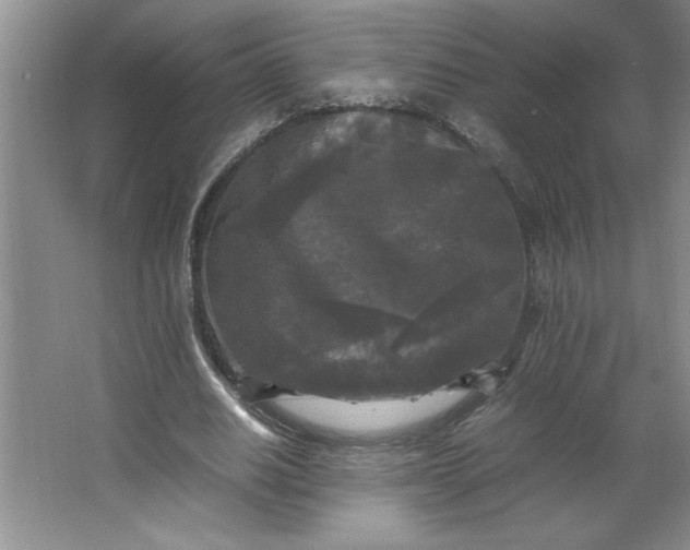 X0000064060630200602101531