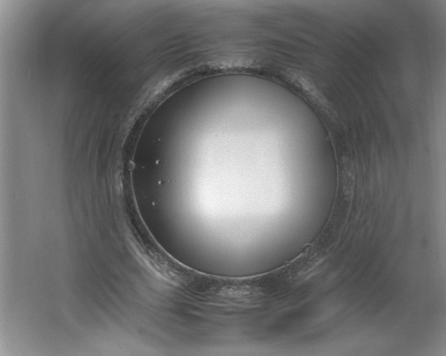 X0000064060631200602101531