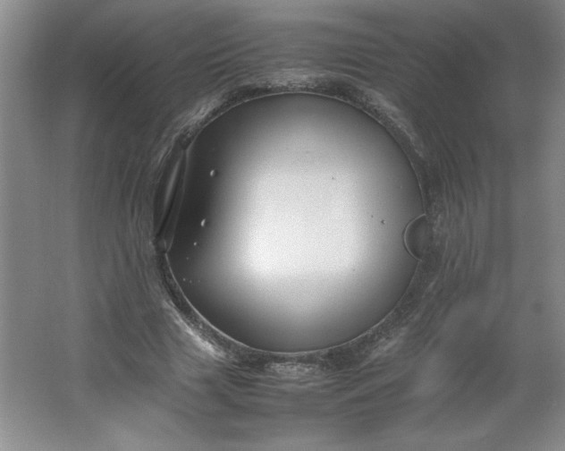 X0000064060633200602101531