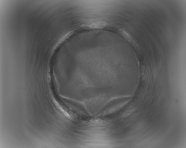 X0000064060634200602101531