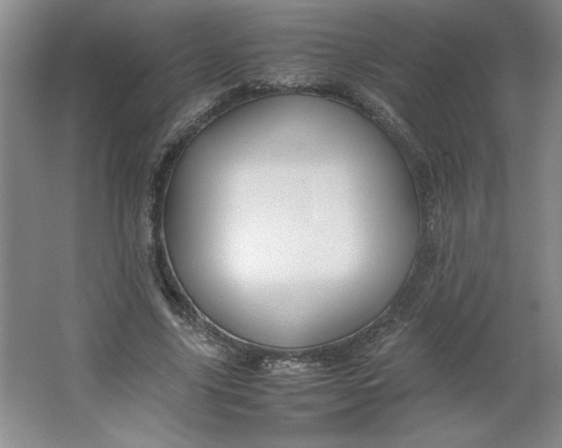 X0000064060635200602101531