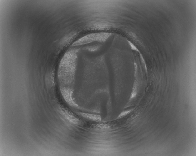 X0000064060640200602101531