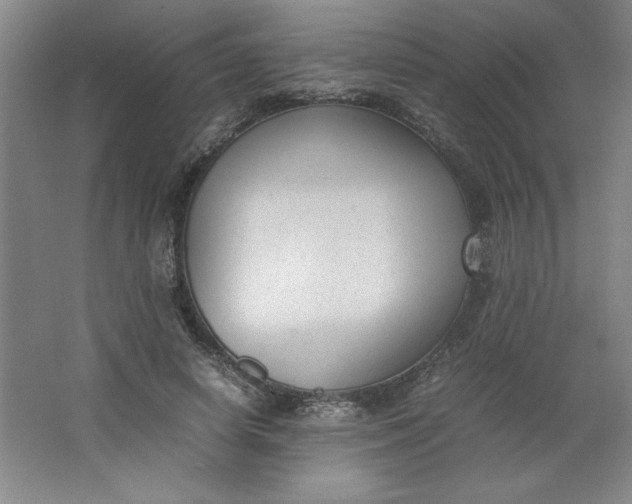 X0000064060642200602101531