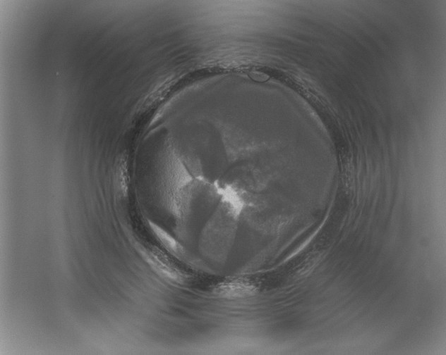 X0000064060644200602101531