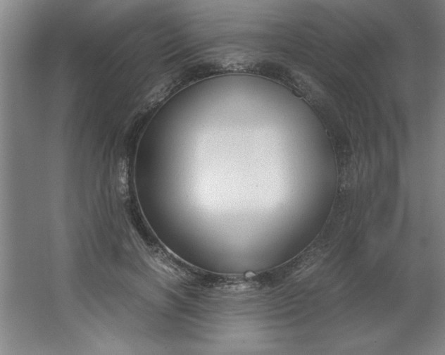 X0000064060646200602101531