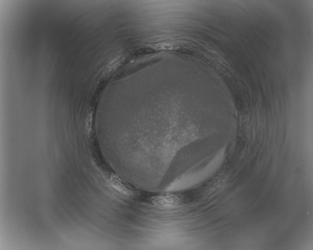 X0000064060652200602101531
