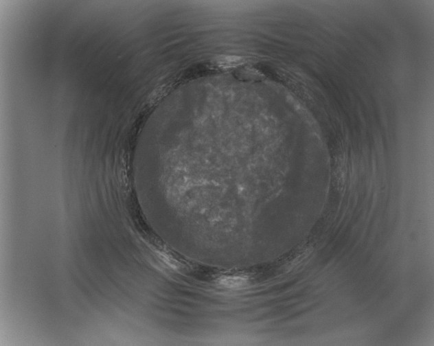 X0000064060653200602101531