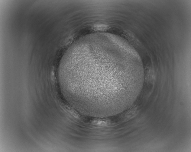 X0000064060655200602101531