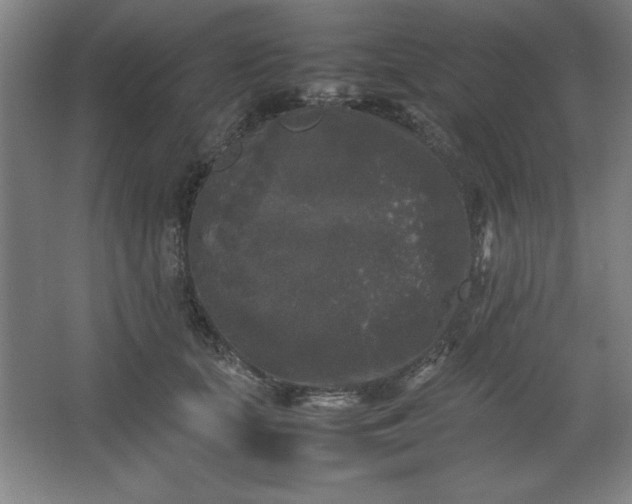 X0000064060659200602101531