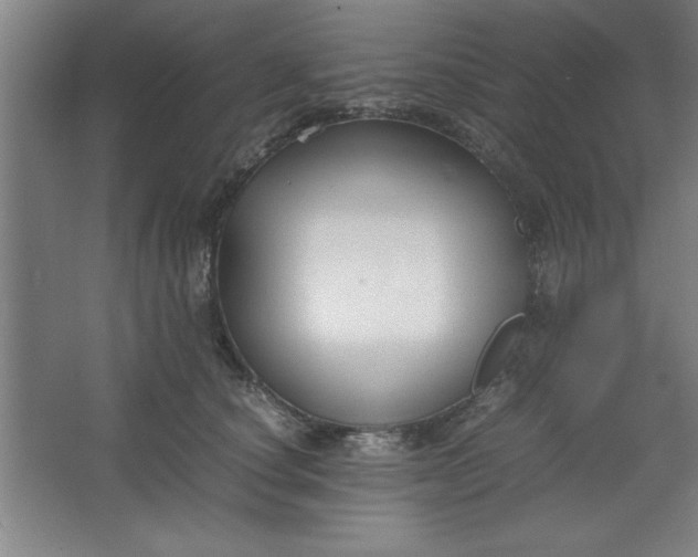 X0000064060660200602101531