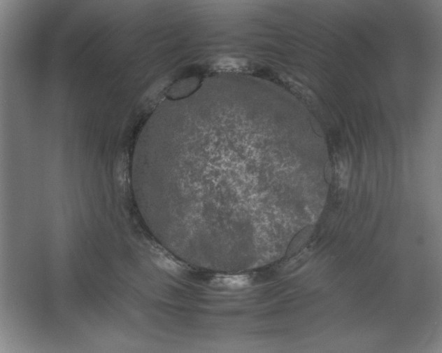 X0000064060665200602101532
