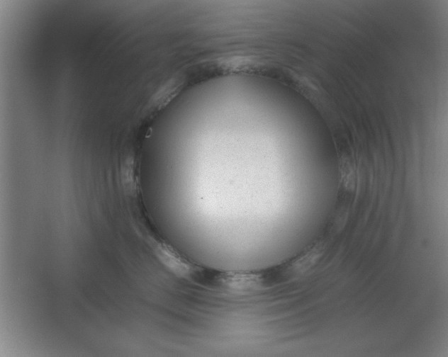 X0000064060670200602101532
