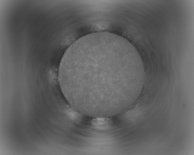 X0000064060672200602101532