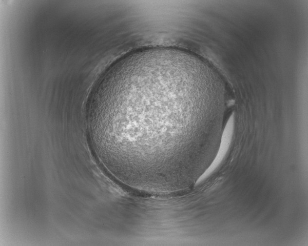 X0000064060673200602101531