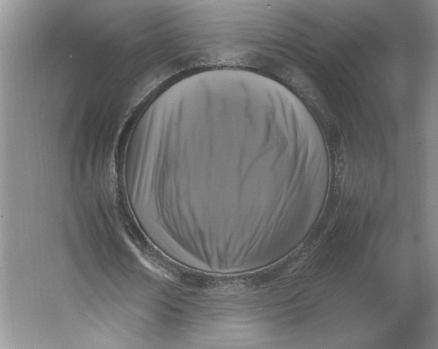 X0000064060674200602101531
