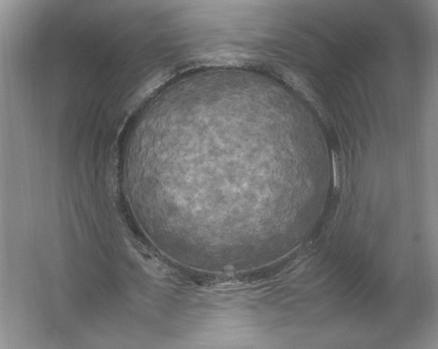 X0000064060675200602101531