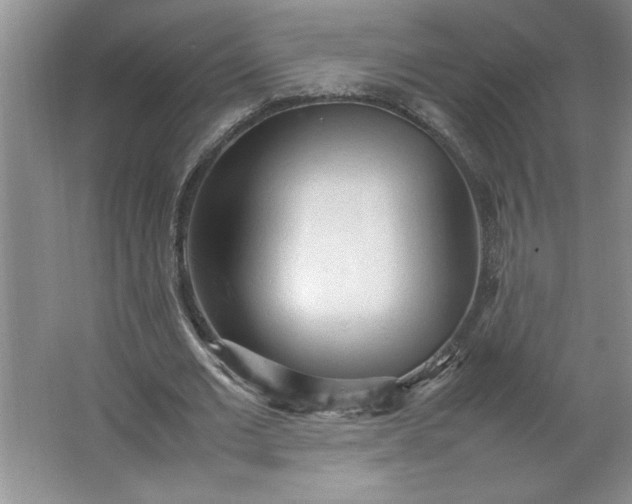 X0000064060677200602101531