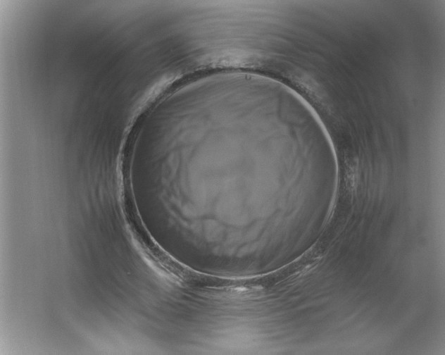 X0000064060678200602101531