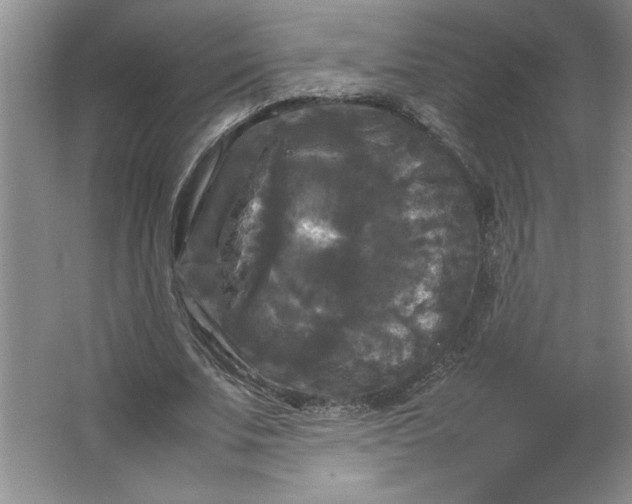 X0000064060679200602101531