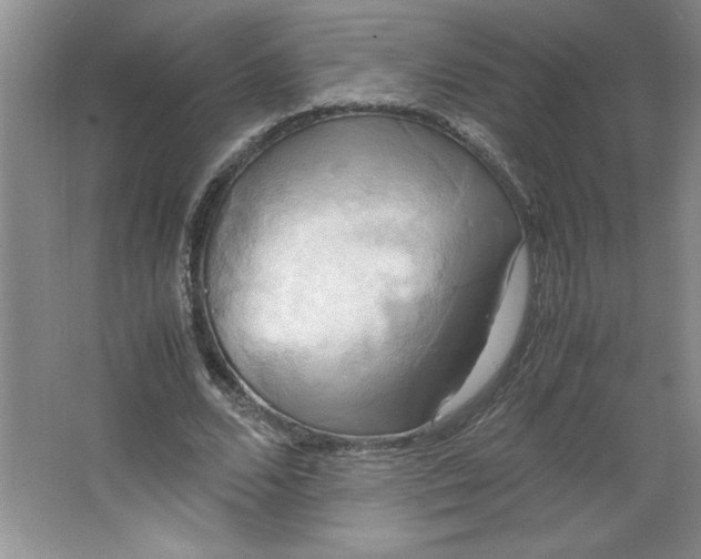 X0000064060680200602101531