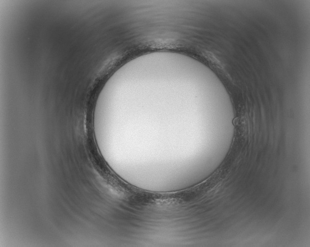 X0000064060686200602101531