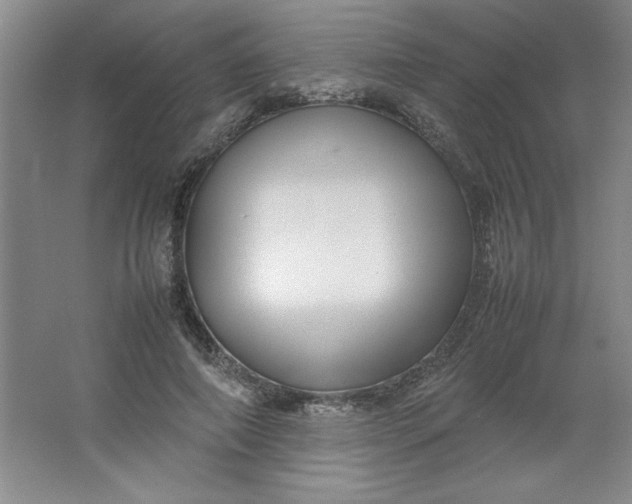 X0000064060690200602101531