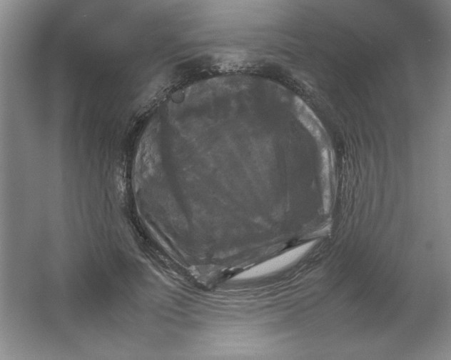X0000064060691200602101531