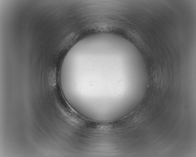 X0000064060694200602101531