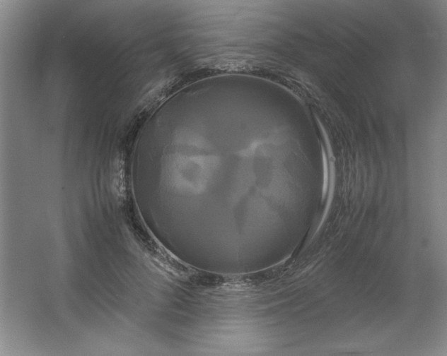 X0000064060696200602101530