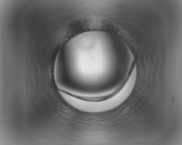 X0000064060697200602101530