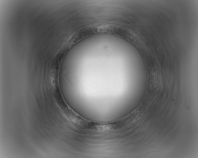 X0000064060698200602101530