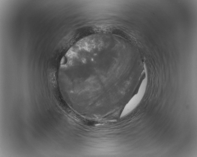 X0000064060699200602101530