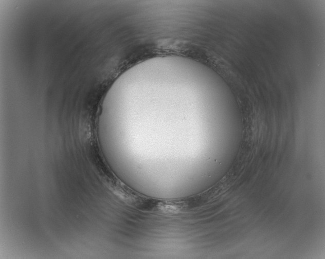 X0000064060706200602101530