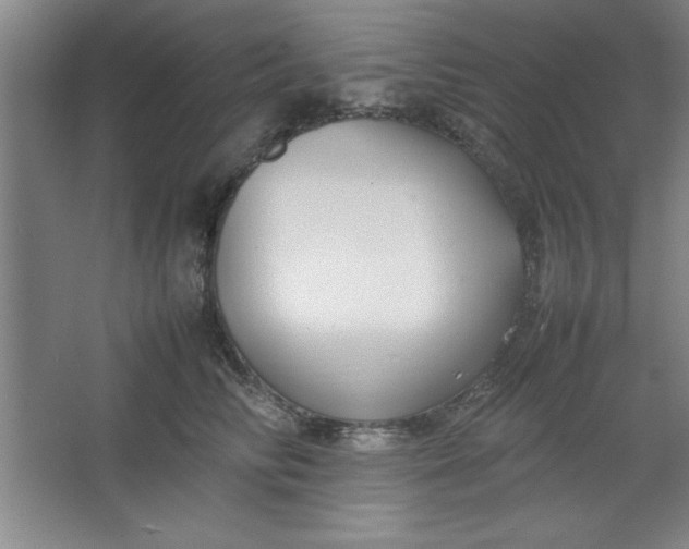 X0000064060710200602101530