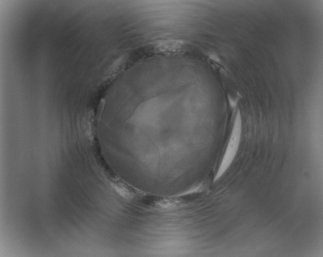 X0000064060712200602101530