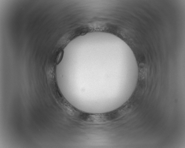 X0000064060713200602101530