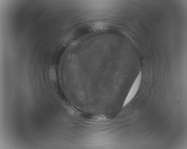 X0000064060715200602101530