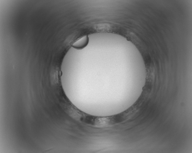 X0000064060717200602101530