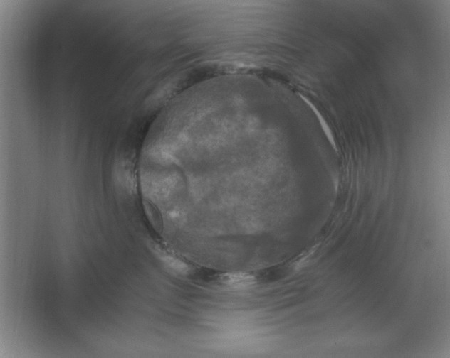X0000064060719200602101530