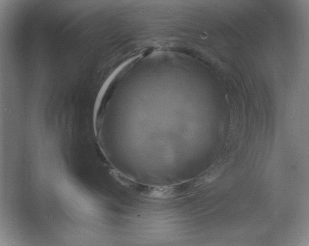 X0000064060720200602101530