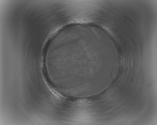 X0000064060736200602101530