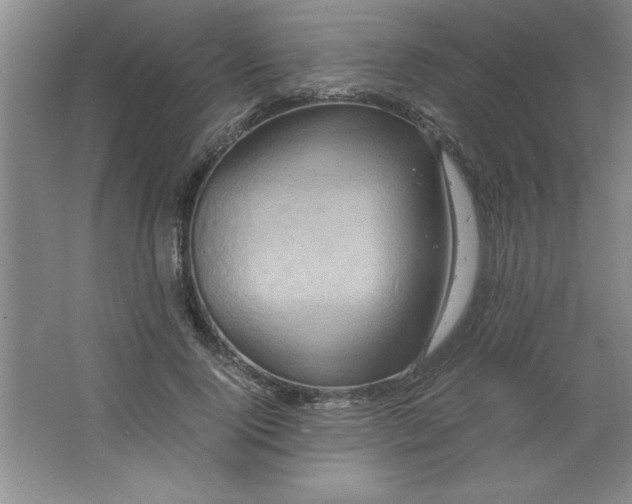 X0000064060740200602101530