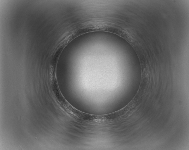 X0000064060744200602101530
