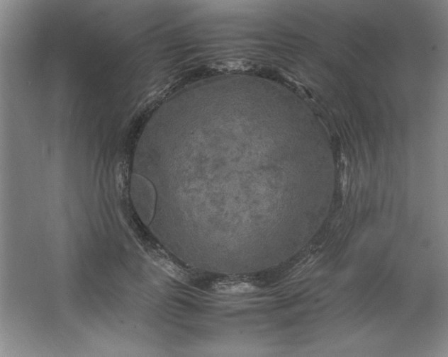 X0000064060747200602101530