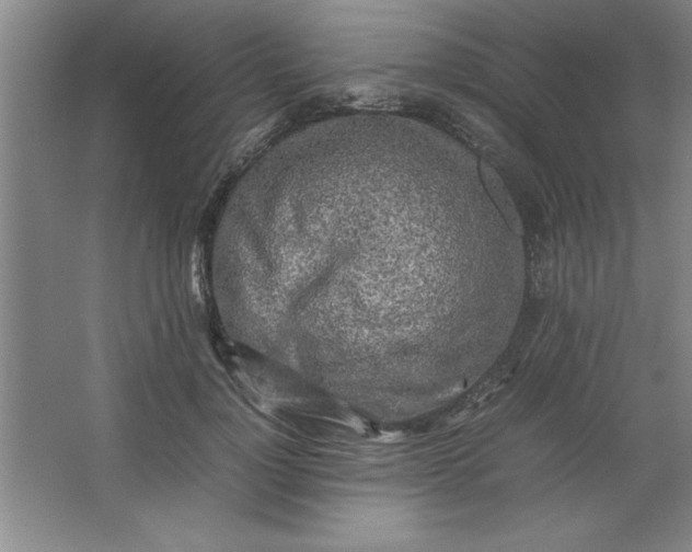 X0000064060748200602101530