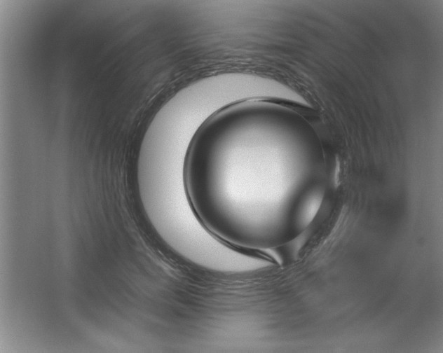X0000064060750200602101530