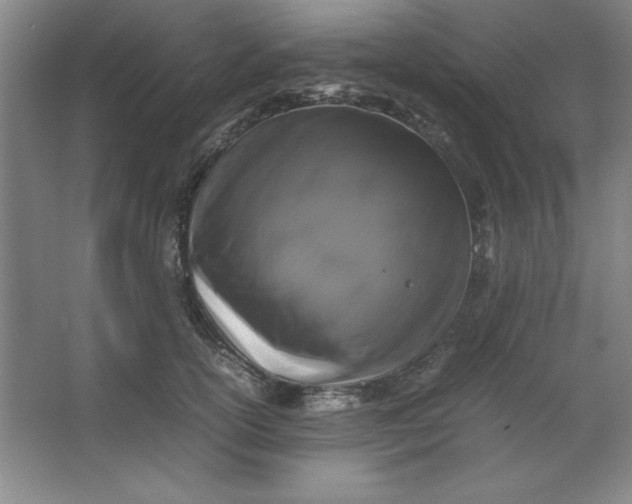 X0000064060754200602101530