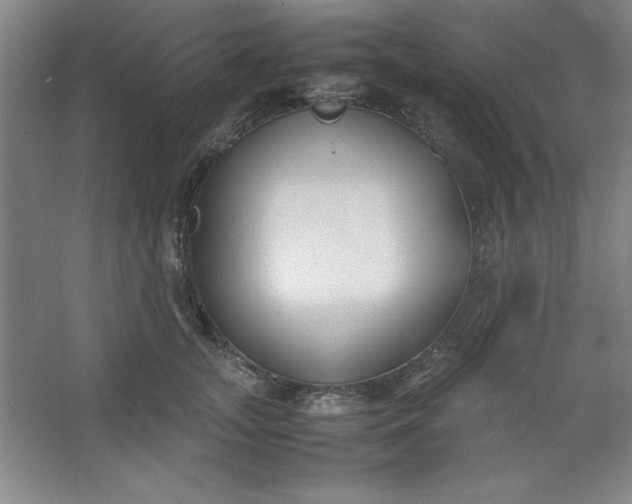 X0000064060755200602101530